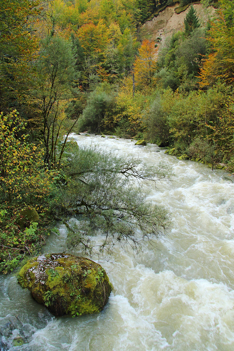 le flumen automne