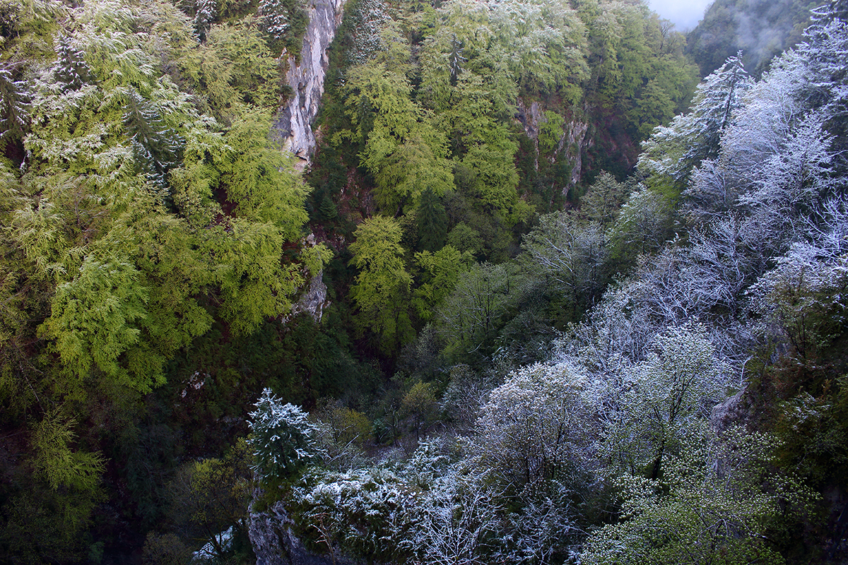 gorges du flumen printemps