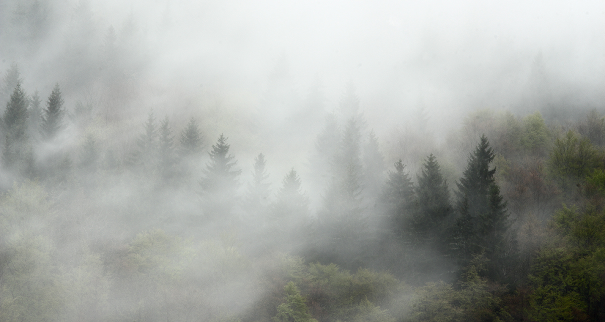 jura printemps