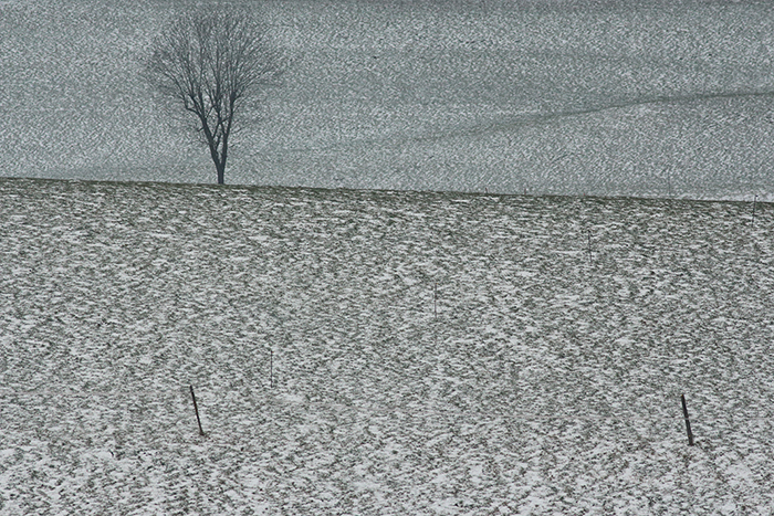 champs hiver, julien arbez