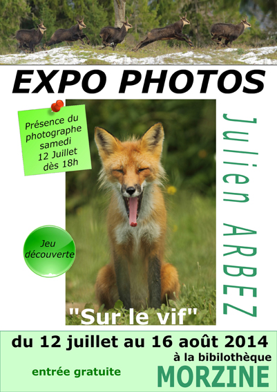 expo morzine sur le vif julien arbez