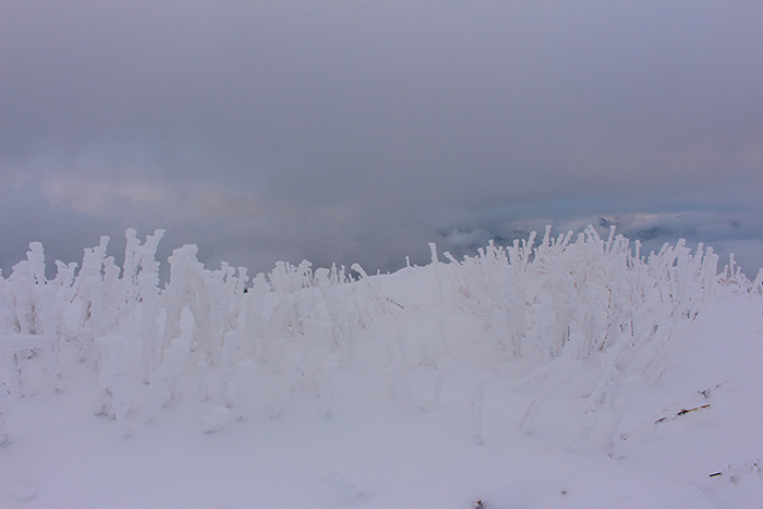 Le Semnoz en hiver, près d’Annecy, julien arbez