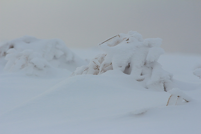 Le Semnoz en hiver, près d’Annecy, julien arbez