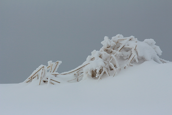 Le Semnoz en hiver, près d’Annecy, julien arbez