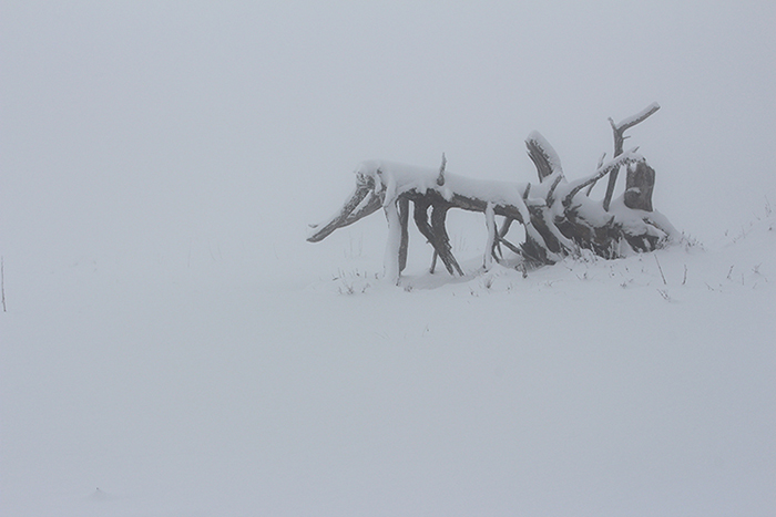 Le Semnoz en hiver, près d’Annecy, julien arbez