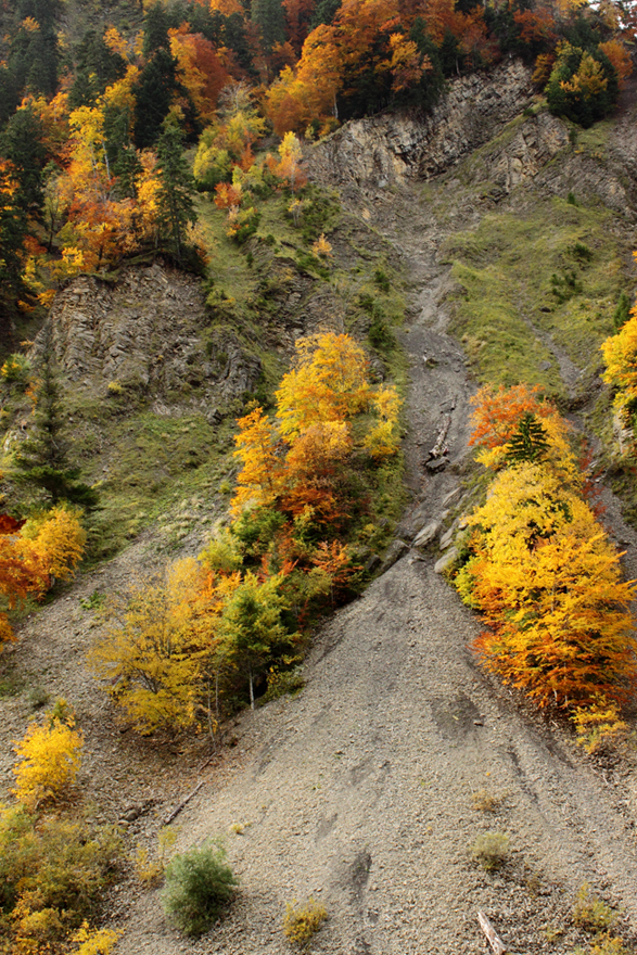 Cirque des varos en automne, arbez