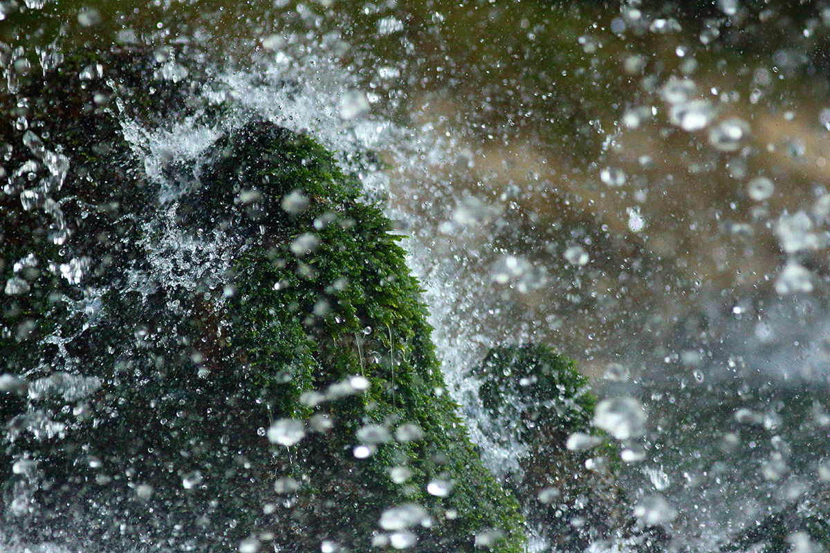 cascades du hérisson printemps