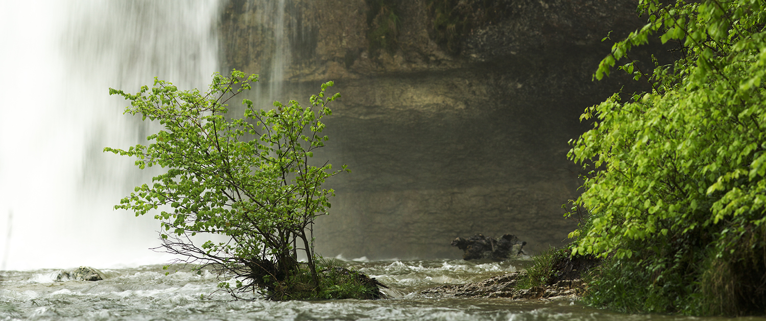 cascades du hérisson printemps