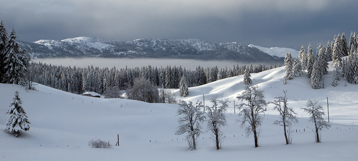 paysage hautes-combes en hiver