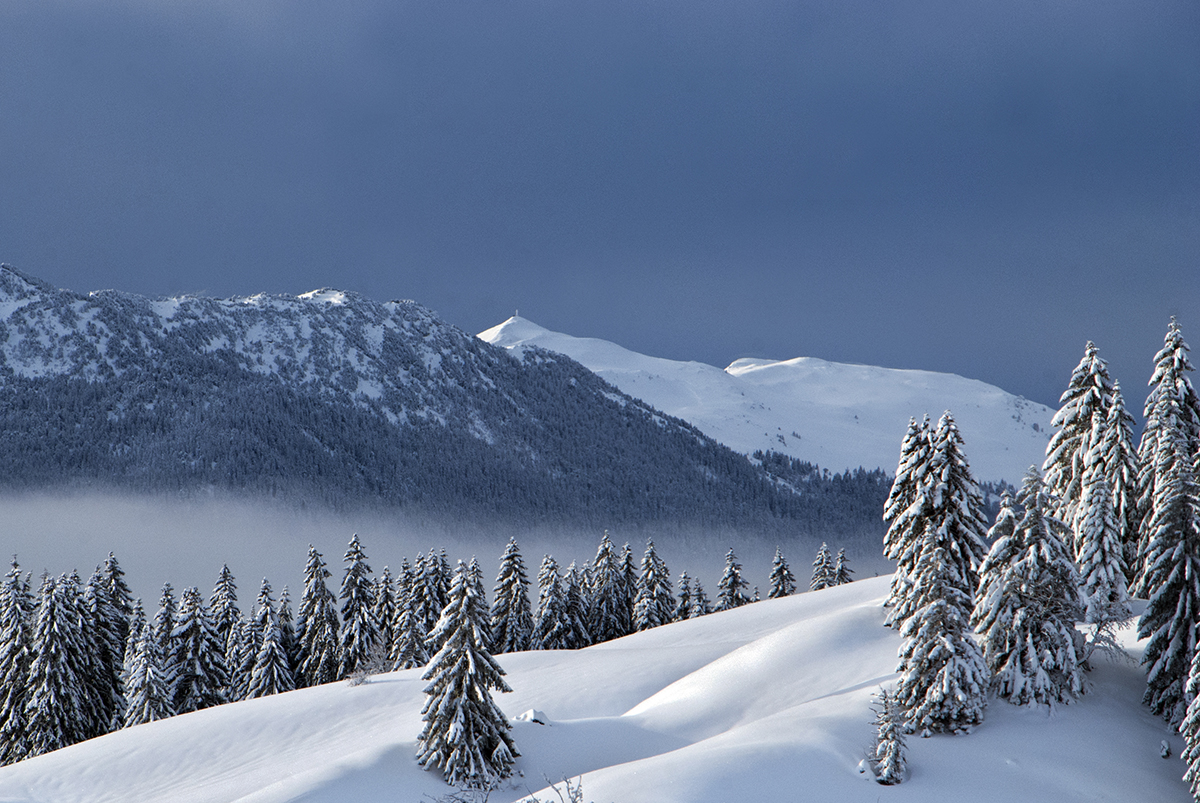 paysage hautes-combes en hiver