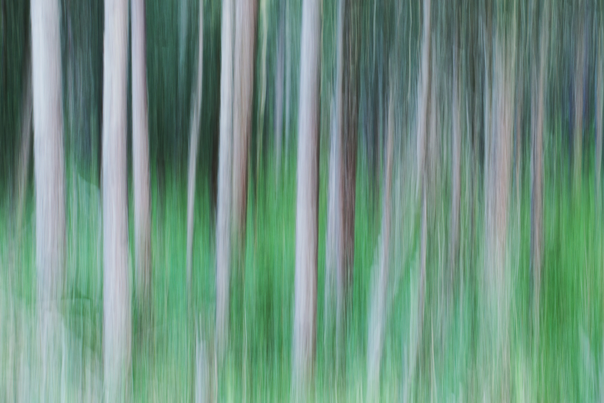 224 (1)